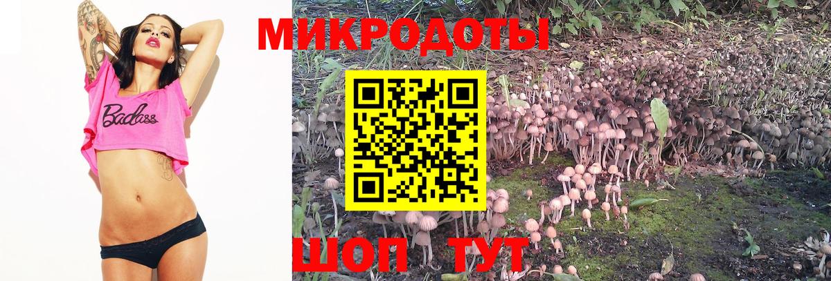 Галлюциногенные грибы MAGIC MUSHROOMS  Вход с VPN  Видное 