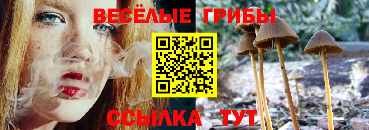МЕТАМФЕТАМИН Видное