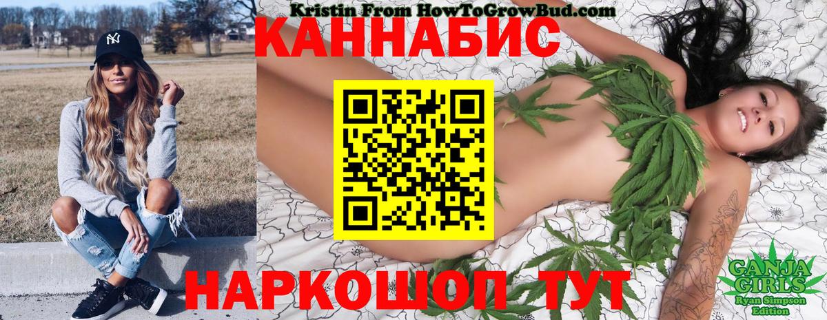 Конопля сатива Видное